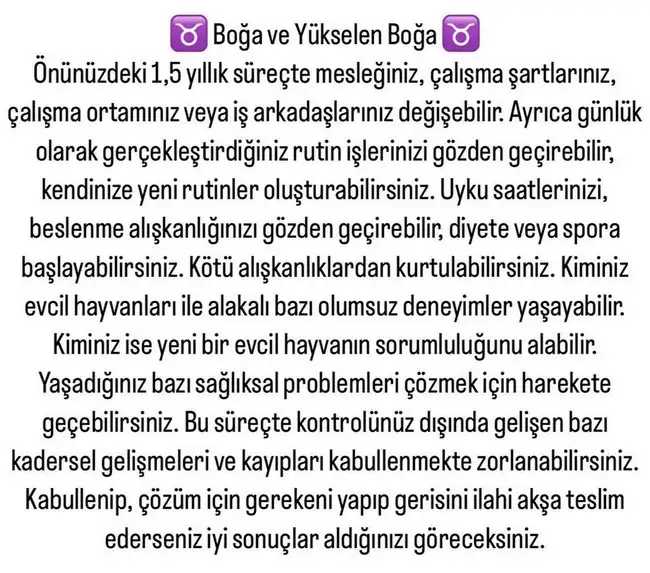 ay5 (3).webp