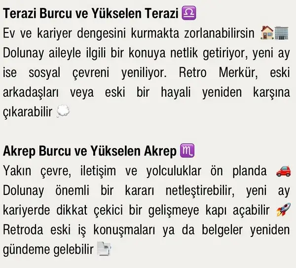 ay5 (4).webp