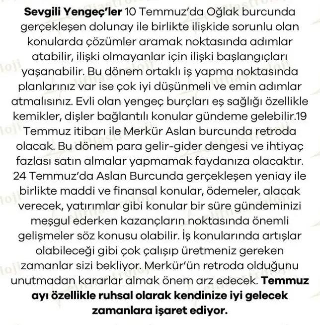 ay5 (5).webp
