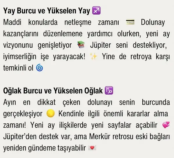ay5 (5).webp