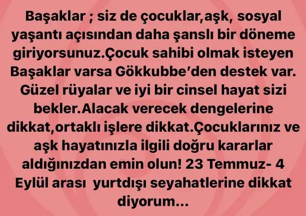 ay5 (6).webp