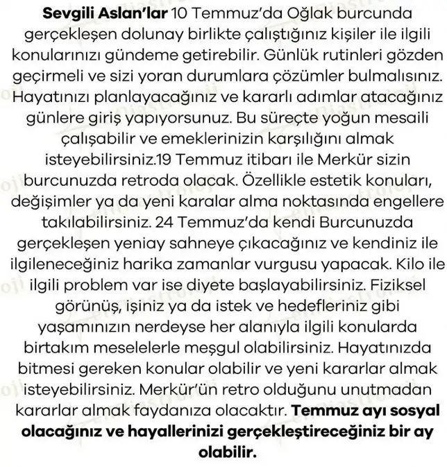 ay5 (6).webp