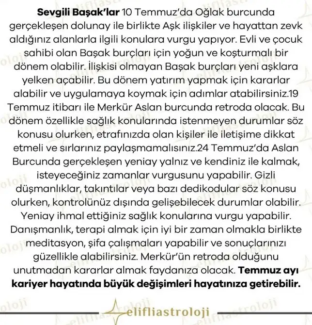 ay5 (7).webp