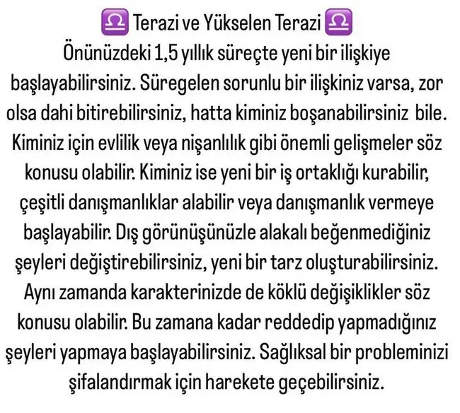 ay5 (8).webp