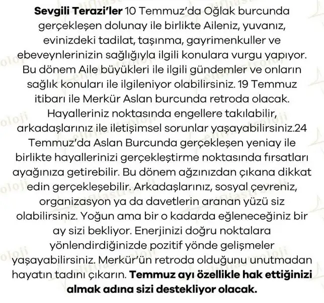 ay5 (8).webp