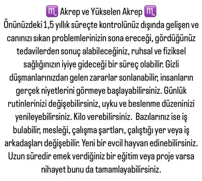 ay5 (9).webp