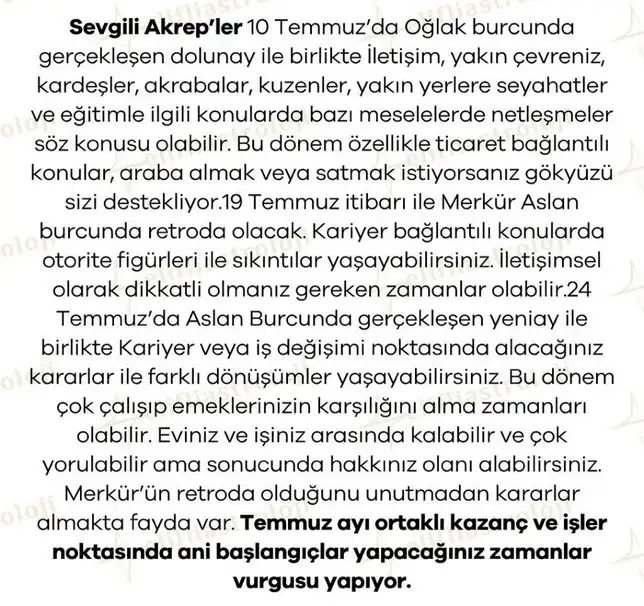 ay5 (9).webp