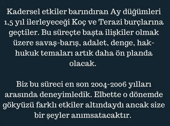 ay50 (2).webp