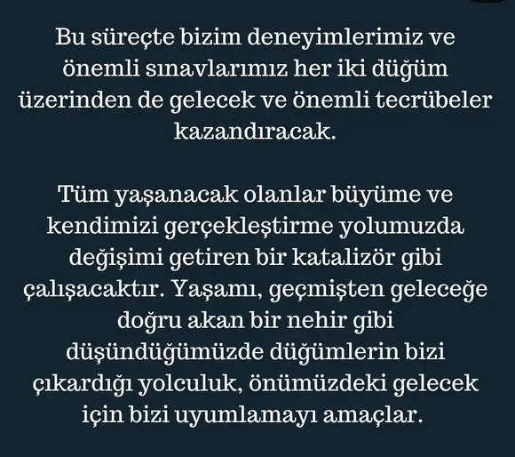 ay50 (3).webp
