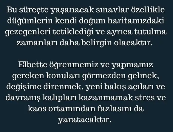 ay50 (4).webp