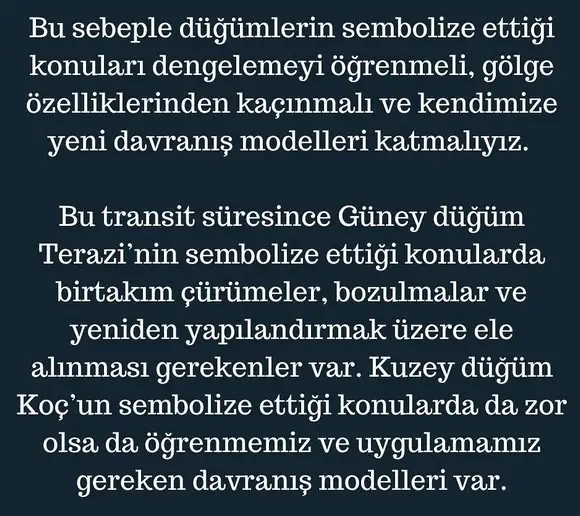 ay50 (5).webp