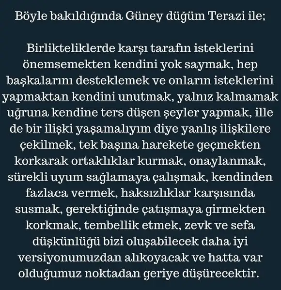 ay50 (7).webp