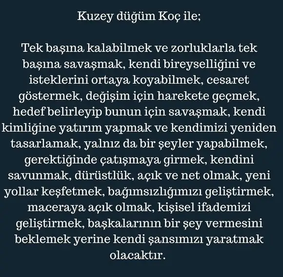ay50 (8).webp