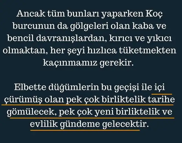 ay50 (9).webp