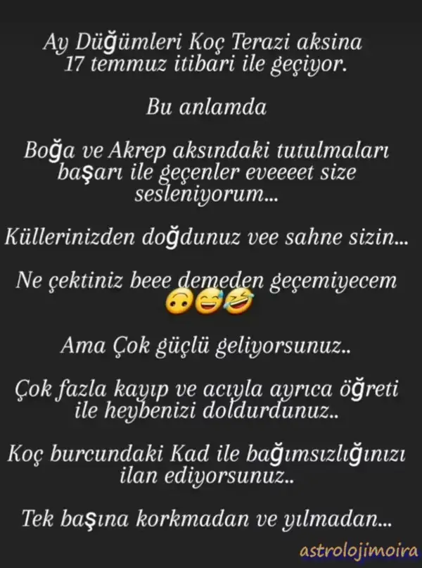 ay55.webp