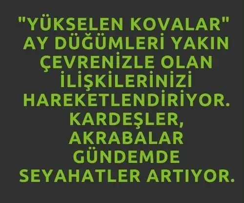 ay56 (11).webp