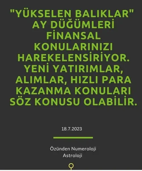 ay56 (12).webp