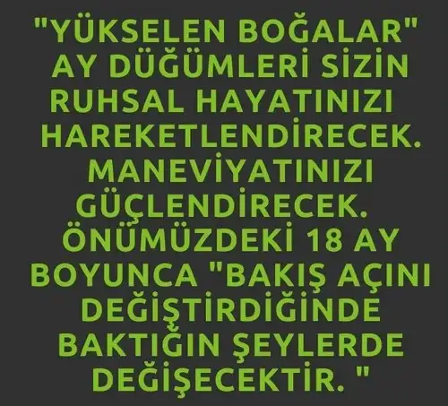 ay56 (2).webp