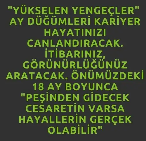ay56 (4).webp