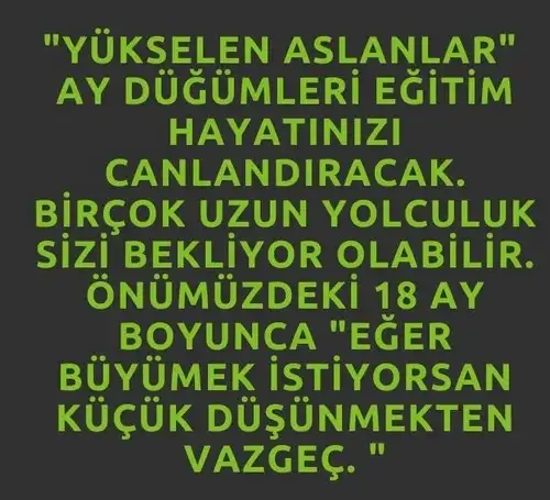 ay56 (5).webp