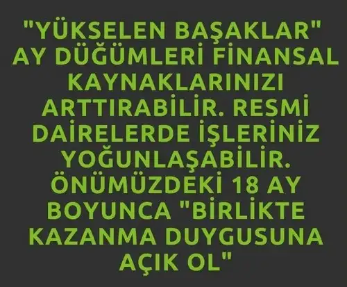ay56 (6).webp