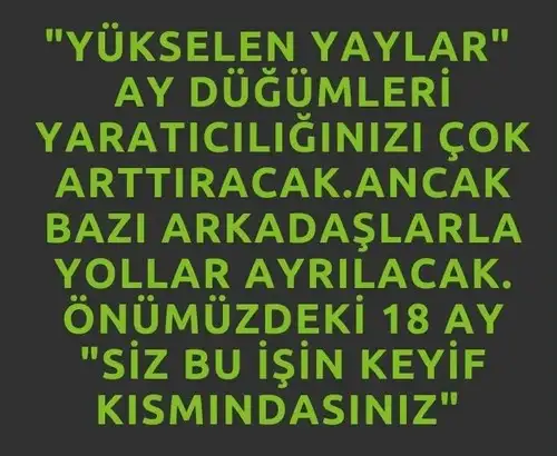 ay56 (9).webp
