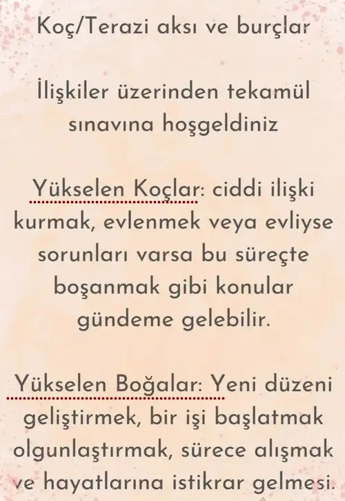 ay6 (1).webp