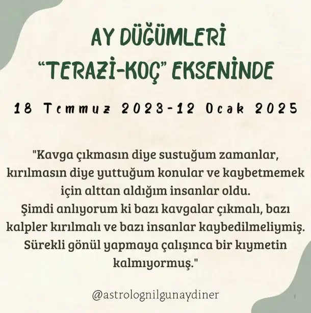 ay6 (1).webp