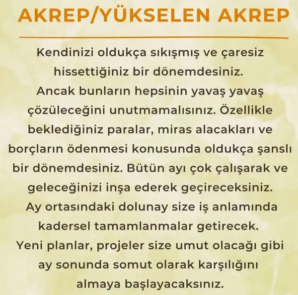 ay6 (10).webp
