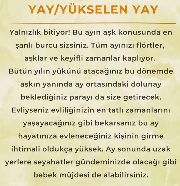 ay6 (11).webp
