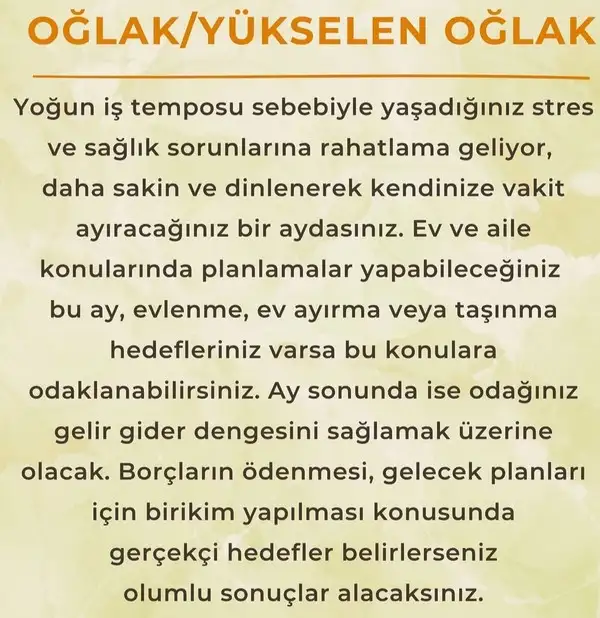 ay6 (12).webp