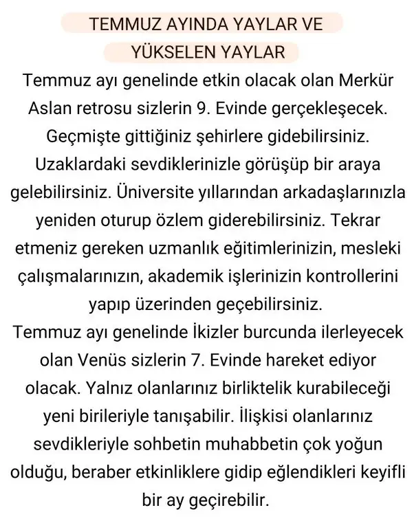 ay6 (13).webp