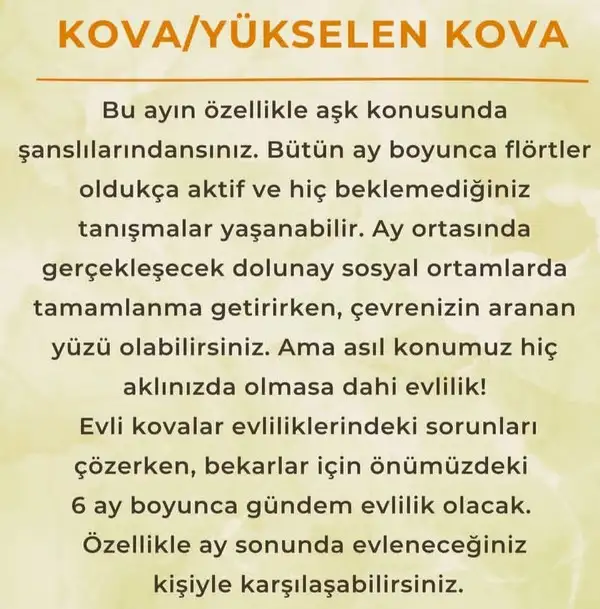 ay6 (13).webp
