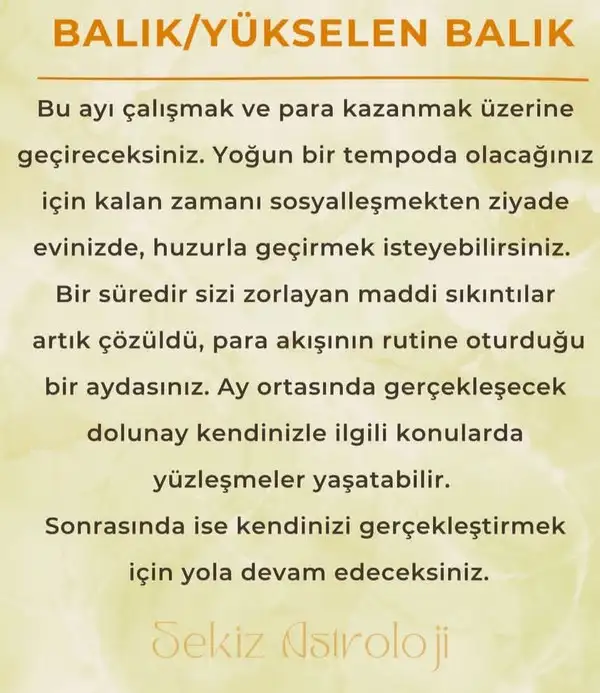 ay6 (14).webp