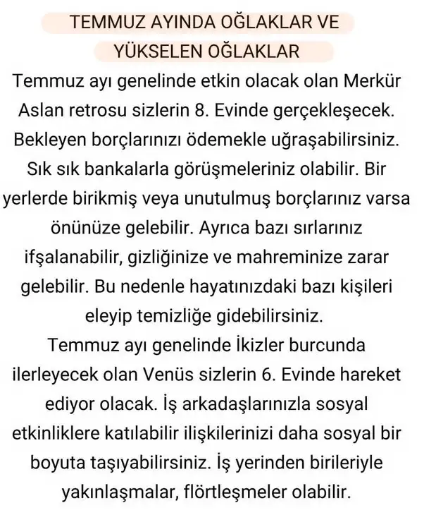 ay6 (15).webp