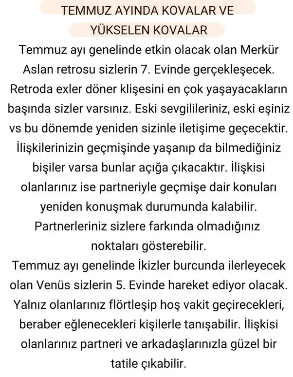 ay6 (16).webp