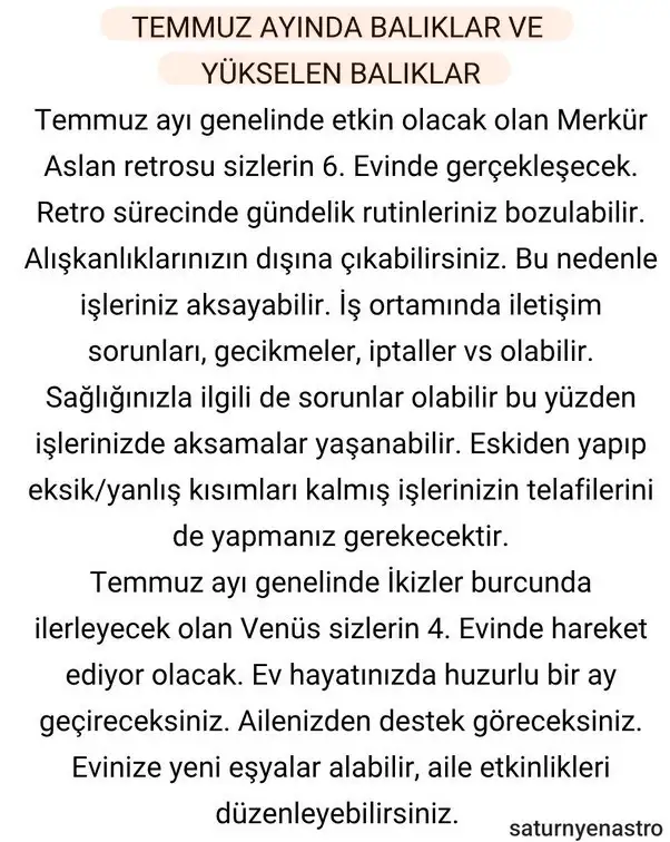 ay6 (17).webp