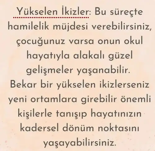 ay6 (2).webp