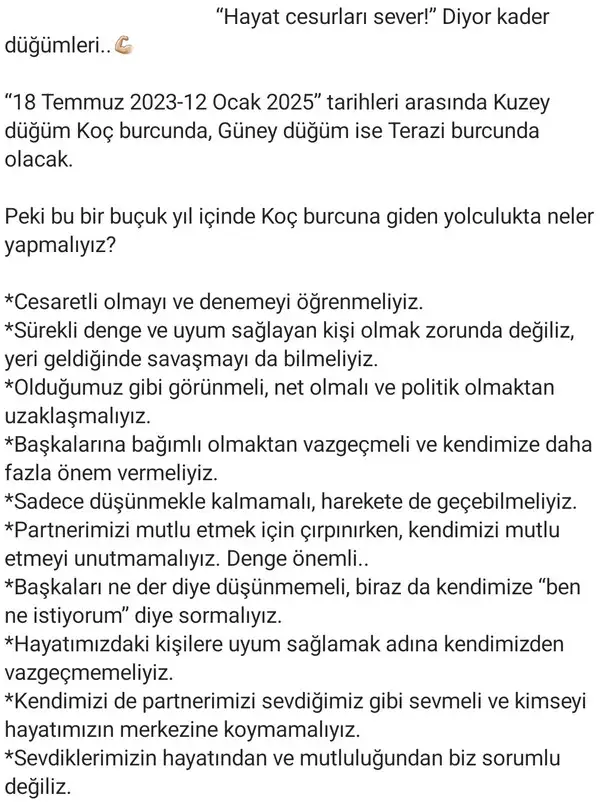 ay6 (2).webp