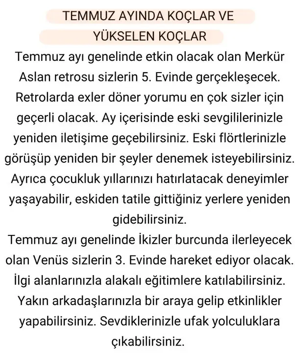 ay6 (2).webp