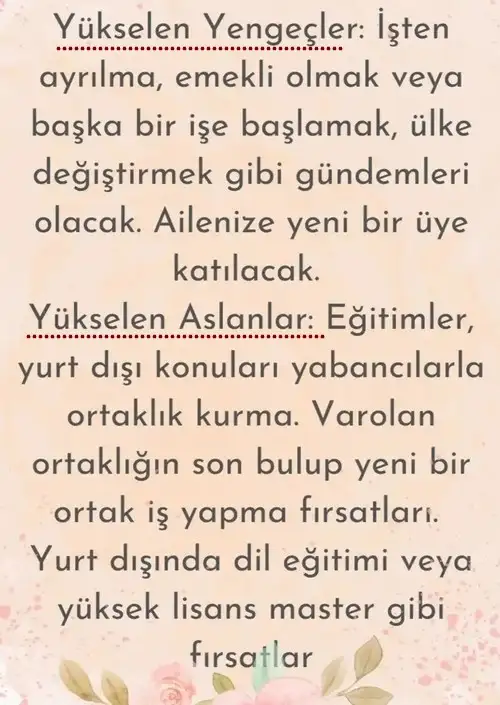 ay6 (3).webp