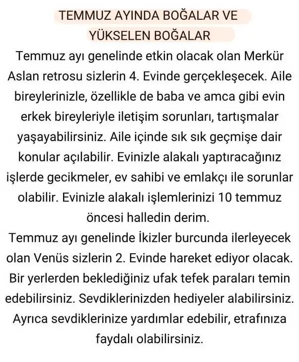 ay6 (3).webp