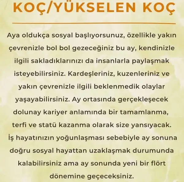ay6 (3).webp