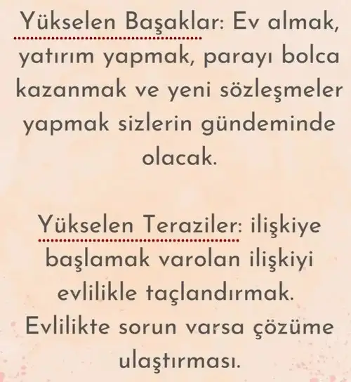 ay6 (4).webp
