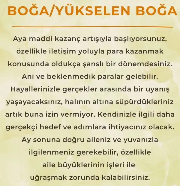 ay6 (4).webp