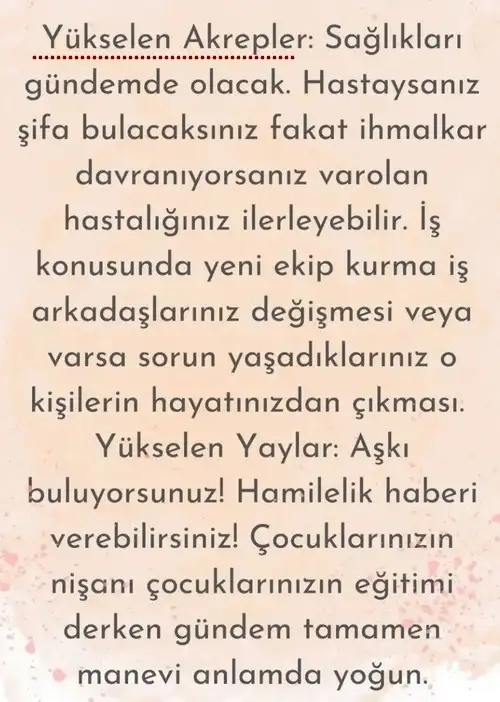 ay6 (5).webp