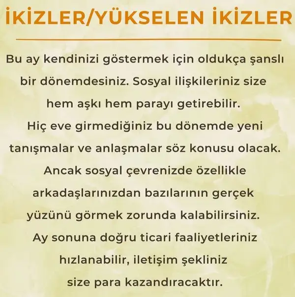 ay6 (5).webp