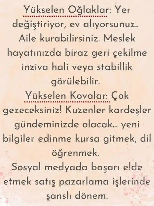 ay6 (6).webp