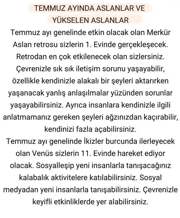 ay6 (6).webp