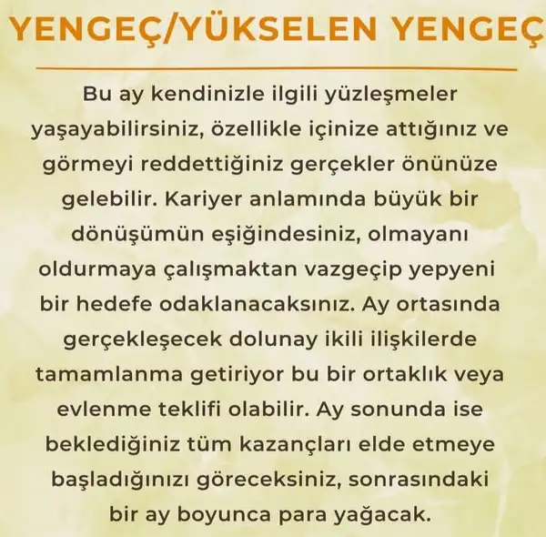 ay6 (6).webp